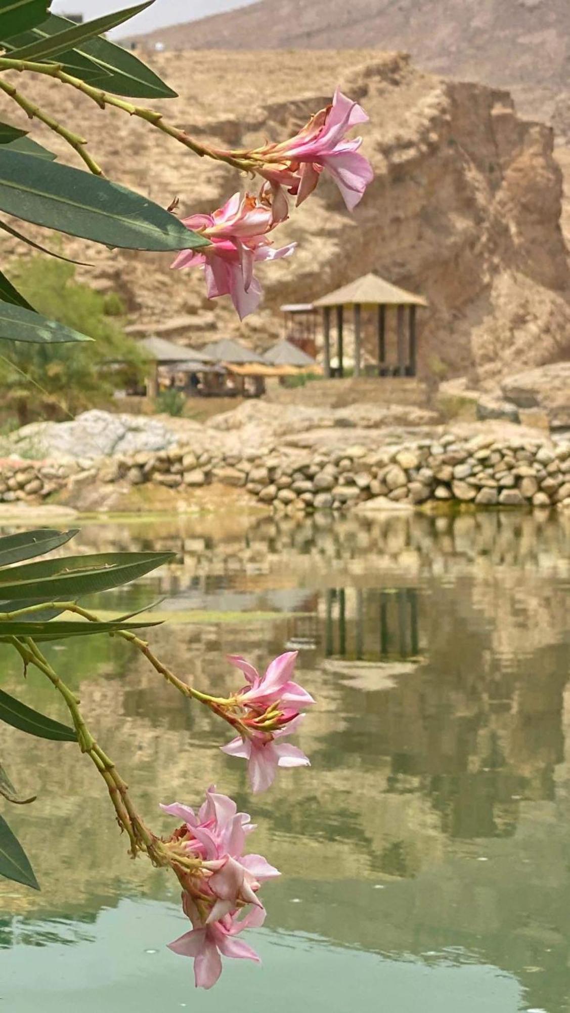Wadi Bani Khalid - Al Joud Green Hostel Dawwah Esterno foto